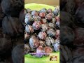 Shorts Новинка Слива на зиму в банках слива в сиропе компот Готовим с Людмилой и не только Shorts Новинка Слива на зиму в банках слива в сиропе компот Готовим с Людмилой и не только