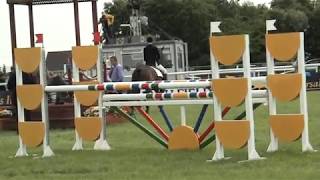 TatsSJFinn2014