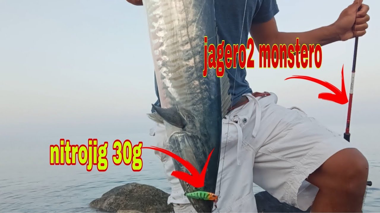 lumalapag palang ang jig ko sinunggaban na nang tanigue!!