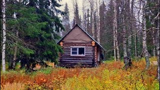 видео: Сбор клюквы и варка морса. Жизнь в избе осенью. картинка: Сбор клюквы и варка морса. Жизнь в избе осенью.