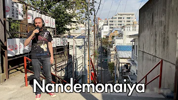 Trip to Japan | Nandemonaiya | なんでもないや (from "Your Name")