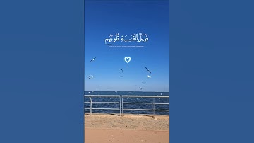 سورة الزمر ♡ (الآية 22)