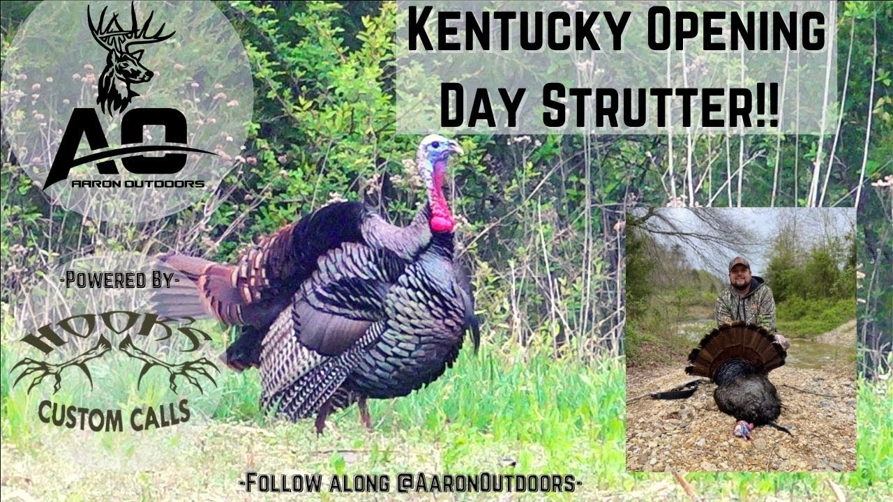 TURKEY Season KENTUCKY OPENING DAY! STRUTTING TOMS! YouTube