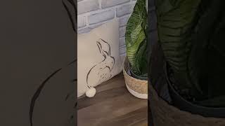 Celebrity Modern farmhouse decorate with me / spring and Easter home decor ideas #shorts #farmhousedecor Profile