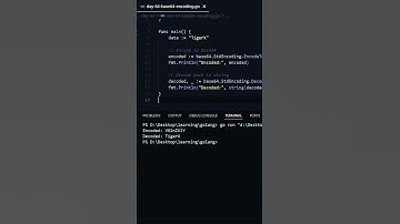 Base64 Encoding & Decoding in GoLang 😎 | Day 64 of 90 Days Challenge 💻