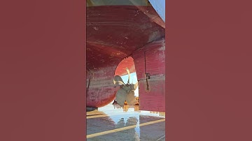 Massive Propeller of Fremantle Highway on the Boka Vanguard! 🚢🔧 #MegaShips #EngineeringMarvel