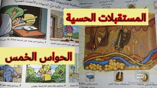 أتعرف على البنيات المتخصصة في استقبال التنبيهات الخارجية /علوم الطبيعة والحياة /  الرابعة متوسط