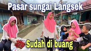Download Lagu MULUNG BAWANG MERAH DAN CABAI⁉️ BANYAK HASIL MULUNG HARI INI MP3