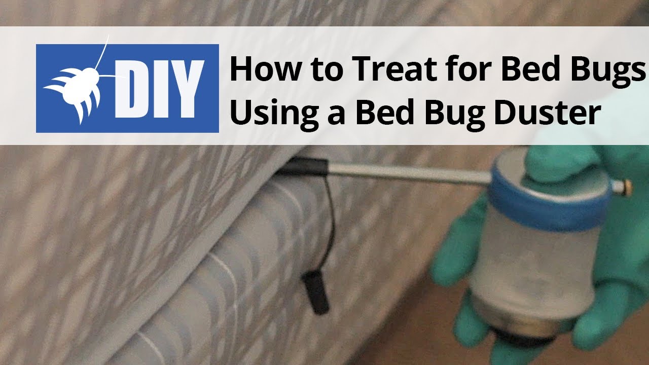 Bed Bug Kit #1 Home Apartment Bed Bug Control Fast, Free