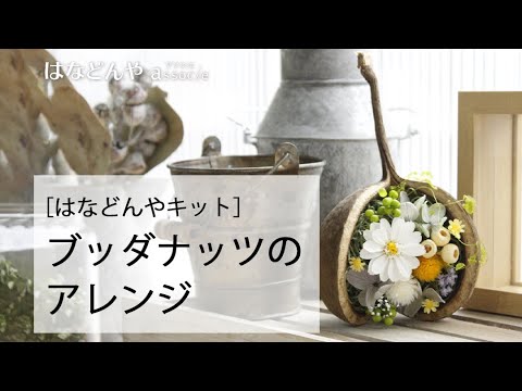 ブッダナッツのアレンジキットの作り方｜《はなどんやキット》How To Make A Flower Arrangement｜Diy