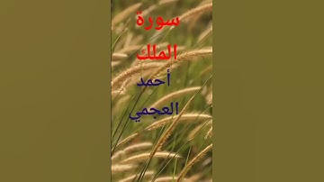#راحة_نفسية #قرآن_كريم #سورة_الملك #اكسبلور