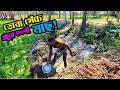 গ্রামের ডোবা সেঁচে মাছ ধরা 🎣 Village Fishing in Bangladesh। Free Minder