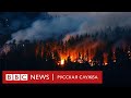 «Будет хуже»: главные вопросы о лесных пожарах в России