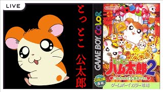 クリア とっとこハム太郎２ハムちゃんず大集合でちゅ Gbc Youtube