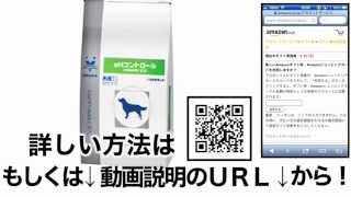 ロイヤルカナン 療法食 phコントロール ドライ 犬用 8kg 格安&無料価格でGETする方法を期間限定で紹介中