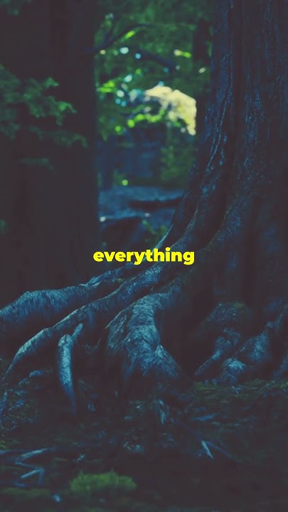 what-does-the-tree-of-life-symbolize-astrologysign-facts-sign