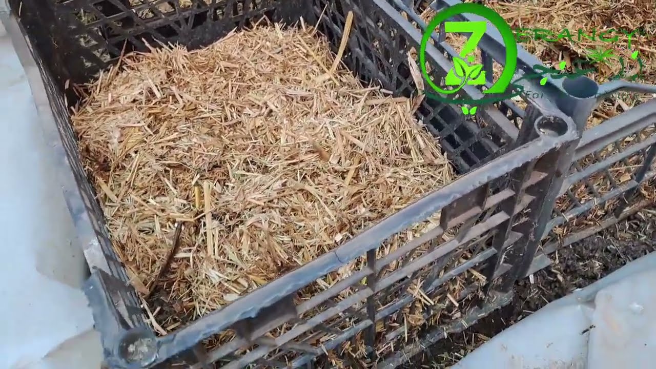 Ловушка для вермикомпоста #Агроном 🌱