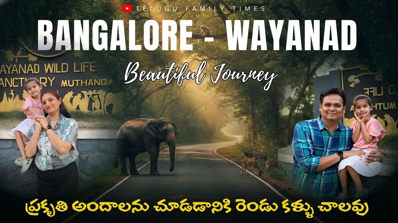 Bengaluru to Wayanad Road Trip 🌧️ | Kerala’s Hidden Green Paradise | Vlog 1