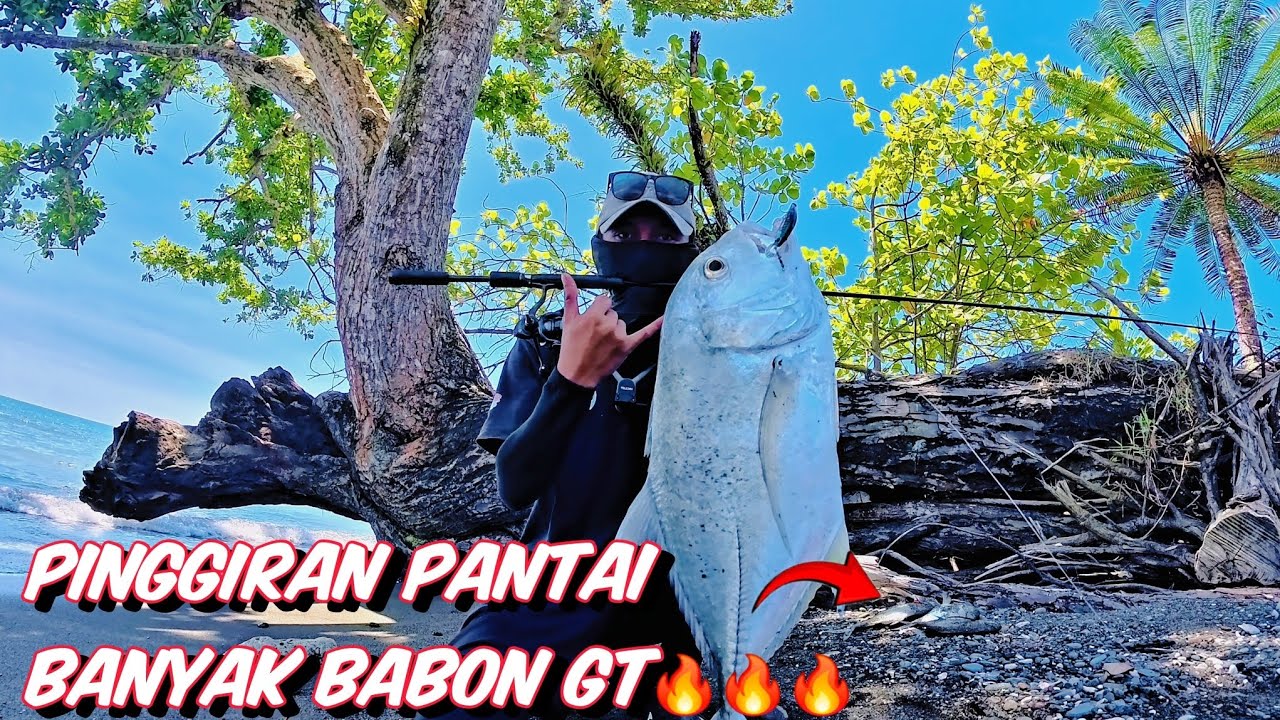 SPOT IDAMAN CASTINGER PINGGIRAN 💥💥 || CASTING PINGGIRAN PANTAI DI SERANG KAWANAN GT 🔥🔥🔥