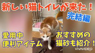 新しい猫トイレが来た！(完結編)おすすめ猫砂&100均便利グッズ【HAUL/購入品紹介】