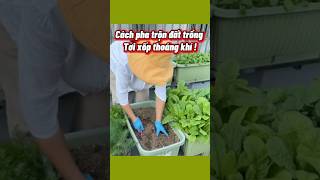 Cách Pha Đất Trồng Tơi Xốp Siêu Thoáng Khí | Công Thức Chuẩn Cho Mọi Loại Cây!