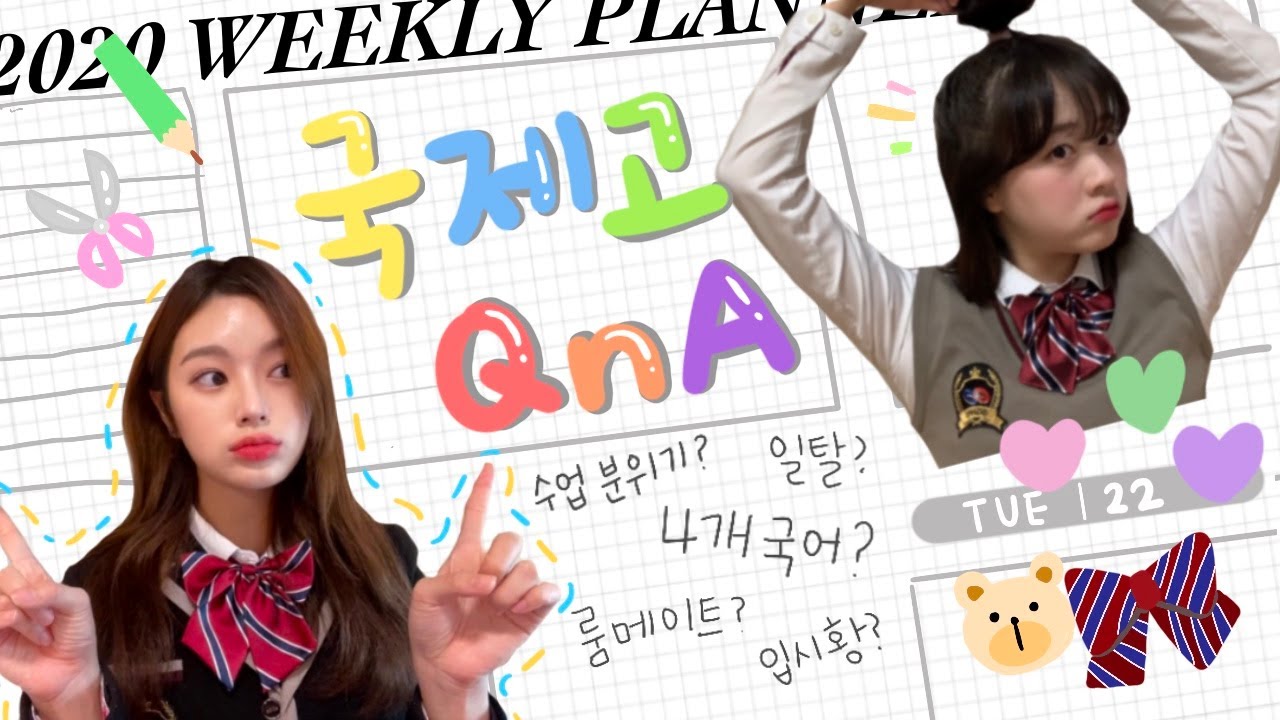 국제고생은 전부 4개 국어 하나요?💡 | 국제고 출신 연고대생의 국제고&특목고 큐앤에이 QnA!📢 | 채다치즈🧀