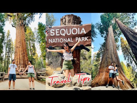 Video: Lodging Sequoia National Park - Cosa devi sapere