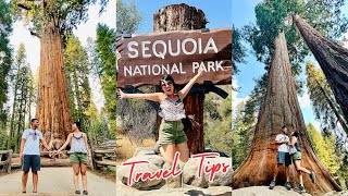 16 Sequoia National Park Travel Tips and Tricks | Sequoia National Park Travel Guide