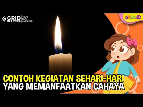 Video: Apa 5 kegiatan sehari-hari?