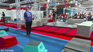 Ninja Obstacle