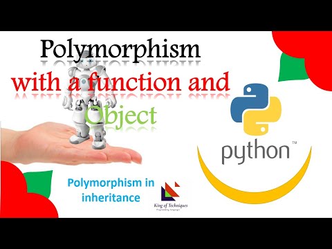 40 - Polymorphism with a function and Object