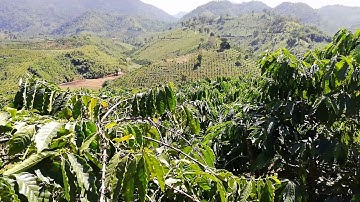 Lưng chừng đèo Chuối Quốc lộ 27