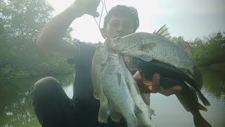 MANCING SEBENTAR HASILNYA MEMUASKAN casting barramundi