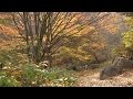 The Beauty of Hiking in South Korea