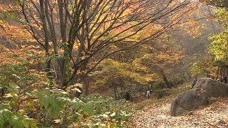 The Beauty of Hiking in South Korea