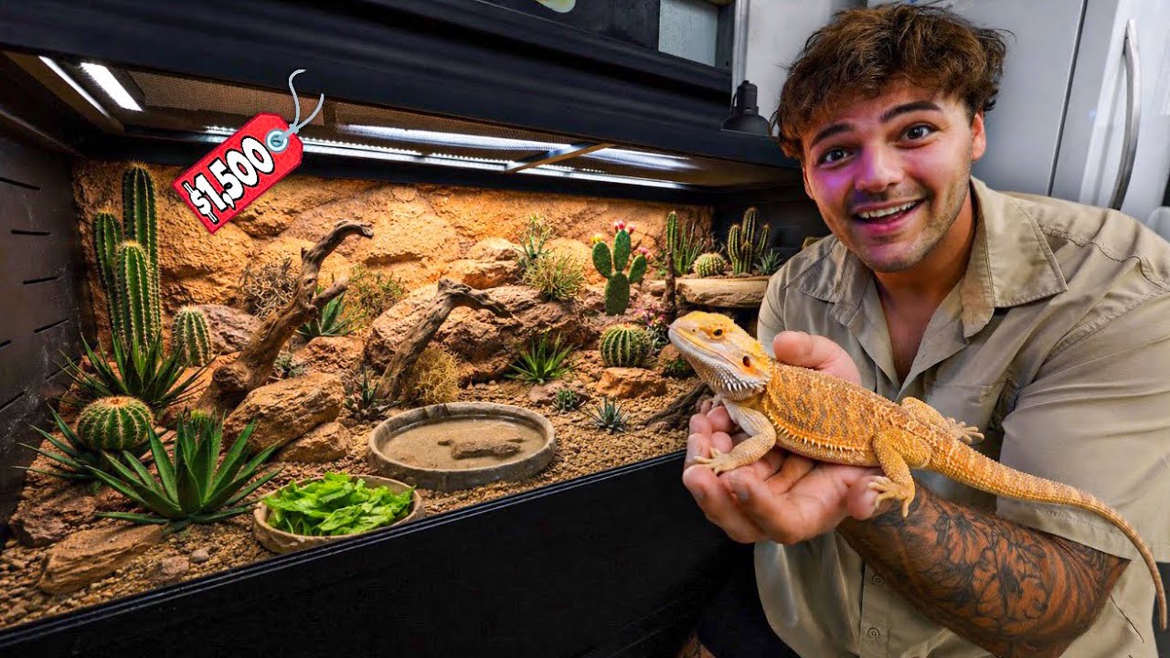I Rescued a REPTILE and Built it a DREAM Enclosure!!