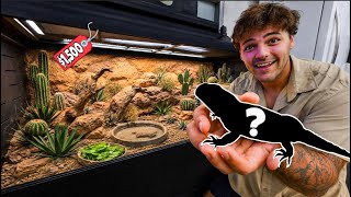 I Rescued a REPTILE and Built it a DREAM Enclosure!!