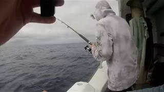 Gulf Harbour Charter Fishing