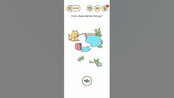 ll Brain Find, Level - 61Hub, where did the fish go? ll