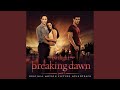 download Flightless Bird, American Mouth (Wedding Version) - IronandWine download Flightless Bird, American Mouth (Wedding Version) - IronandWine