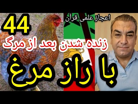 اعجاز علمی قرآن 44 زنده شدن بعد از مرگ بل راز مرغ پارسا ایرانی ایران مرگ زندگی حدیث شیعه