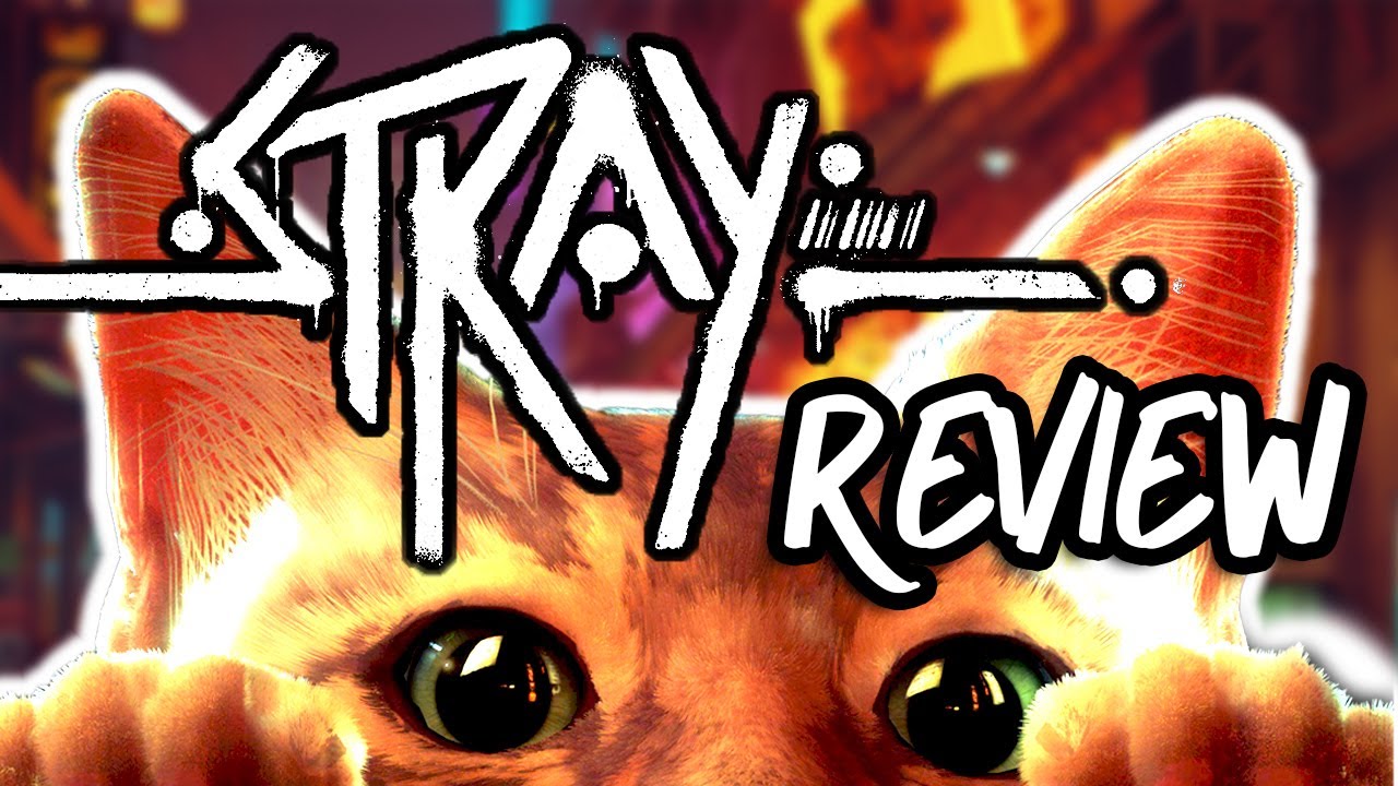 STRAY: Review | Test - Innovatives Katzen-Adventure oder Grafikblender? (4K 60FPS)