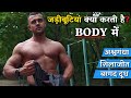 जड़ीबुट्टिया शरीर में क्या करती है।kush fitness