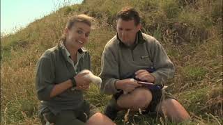 Meet The Locals Toroa