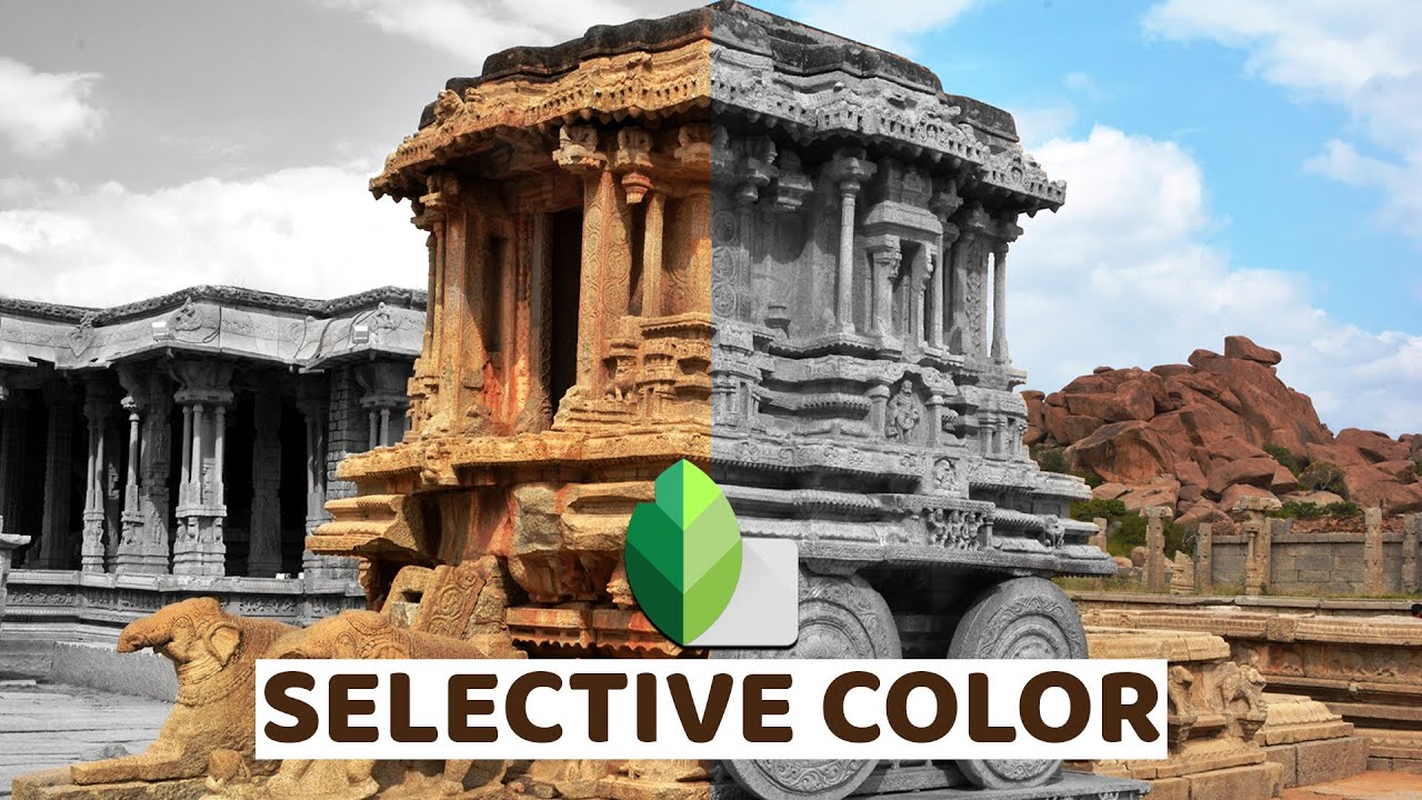 Selective color effect by using Snapseed app | Quick & easy mobile editing tutorial | Error to edit