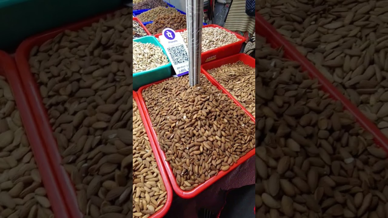 Afgani gays dryfruit shop Durgapur tread fair 