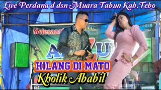 Arzuna Music - Lagu Jambi - Hilang di Mato - Kholik Ababil   -  Video Music Amran Arzuna