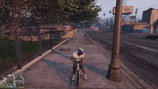 GTA5ロードバイクの旅 screenshot 5