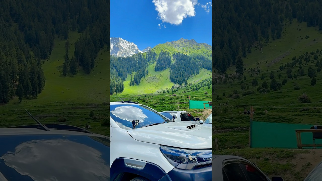 Naltar Valley 🌲🇵🇰 #nature #ytshorts #travel