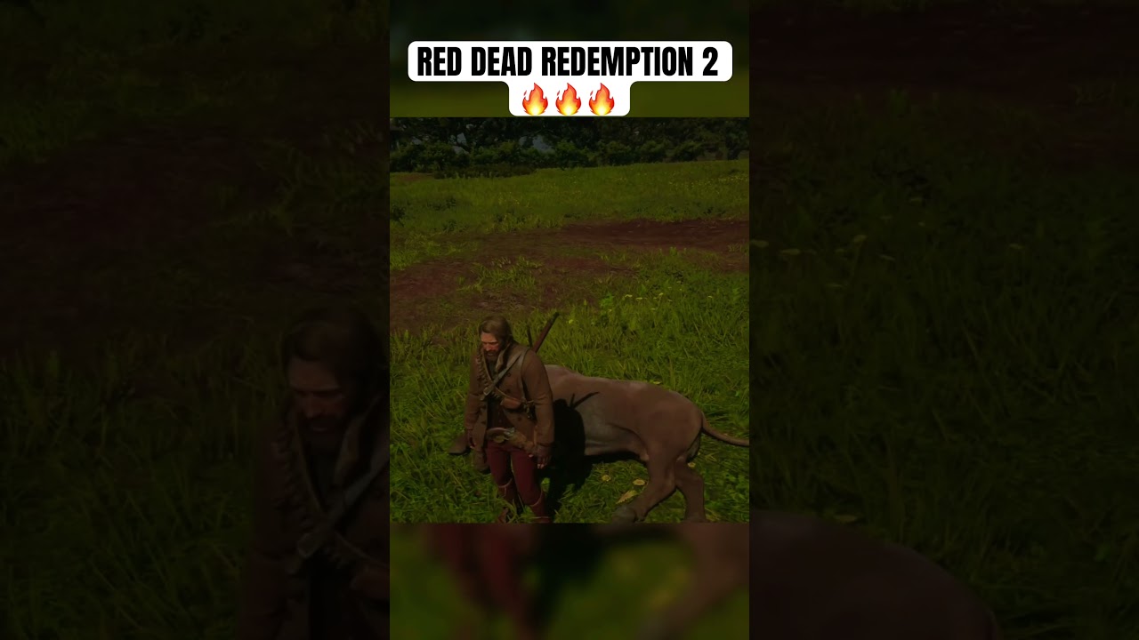 Red Dead Redemption 2 | Bull Vs Arthur 